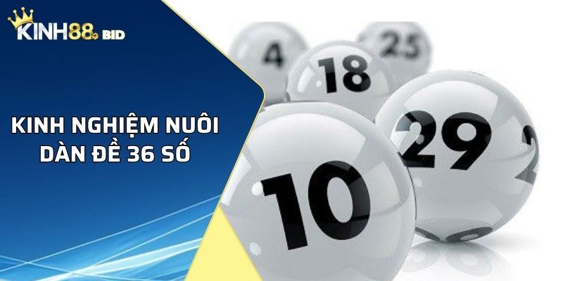 Kinh nghiệm nuôi dàn đề