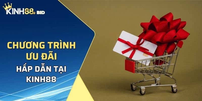 Chương trình khuyến mãi hấp dẫn được nhà cái cung cấp cho hội viên